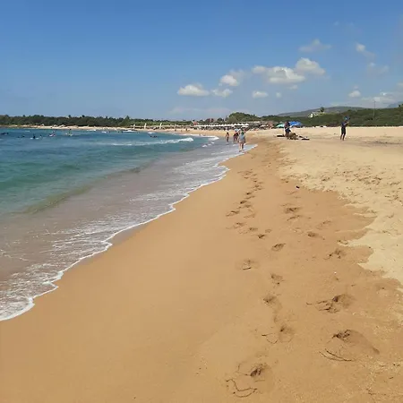 Ελαια Marathopoli