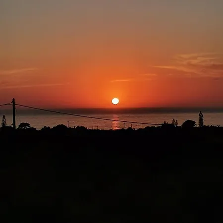 ελαια 펜션