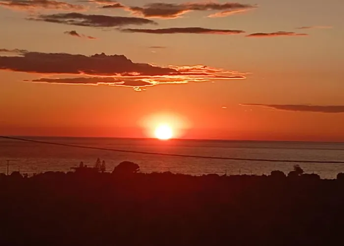 Ελαια Marathopoli